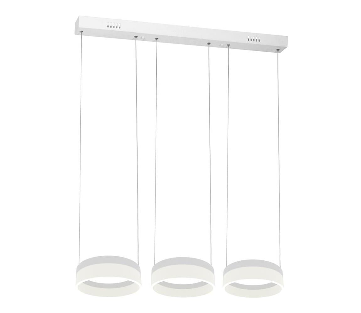  LED Lustr na lanku RING 3xLED/12W/230V 
