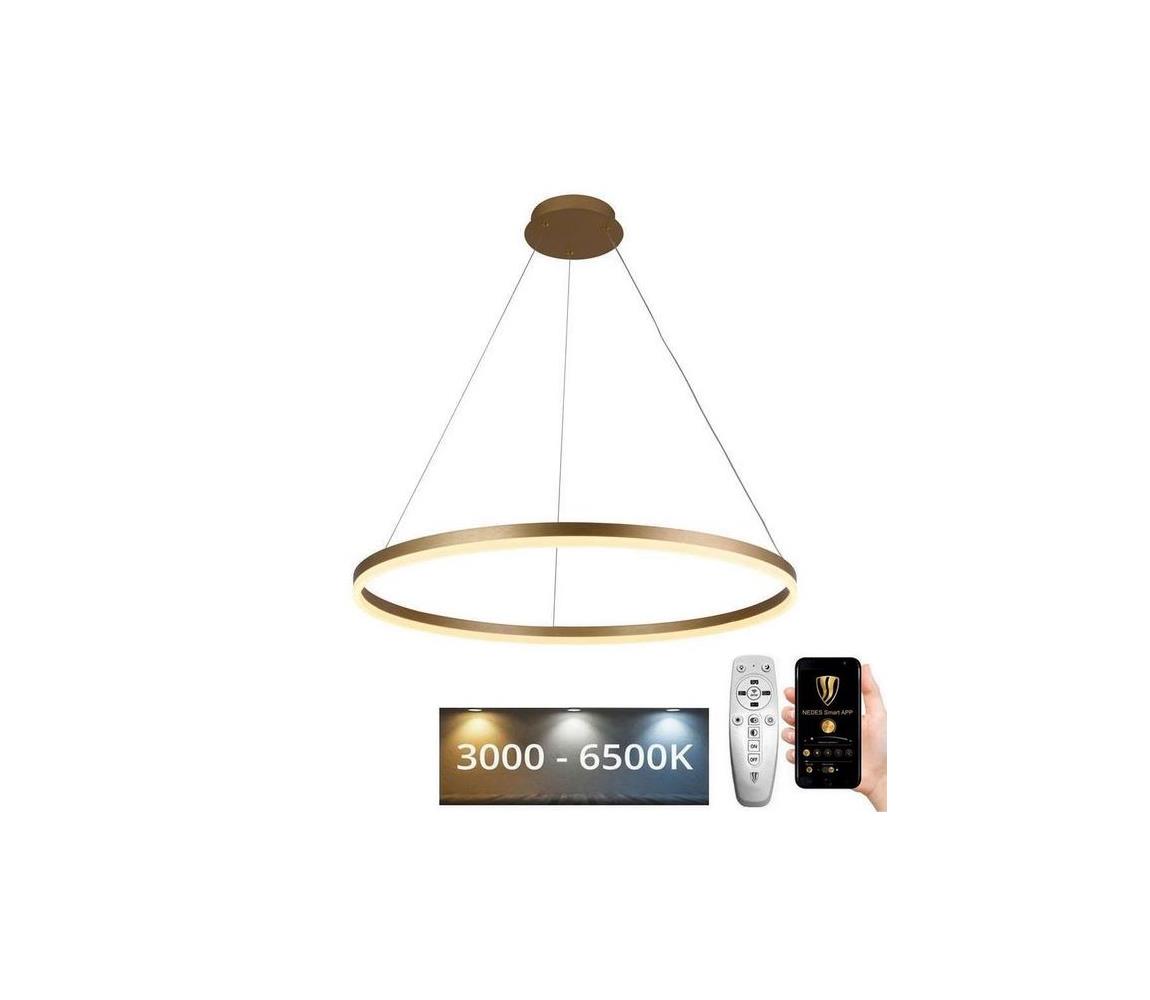  LED Stmívatelný lustr na lanku LED/55W/230V 3000-6500K + dálkové ovládání J4309/G