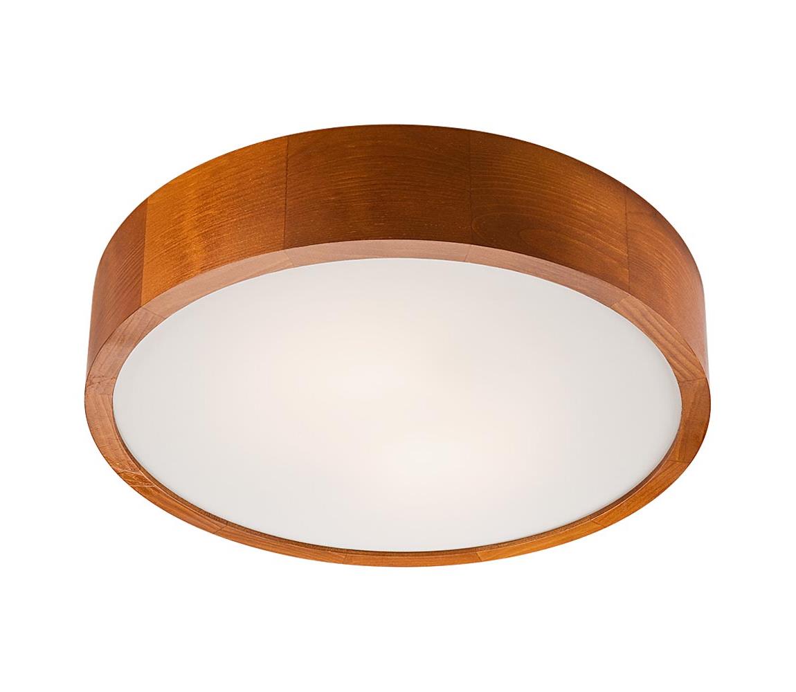  LED Stropní svítidlo LED/24W/230V LD PD.6.2 LED