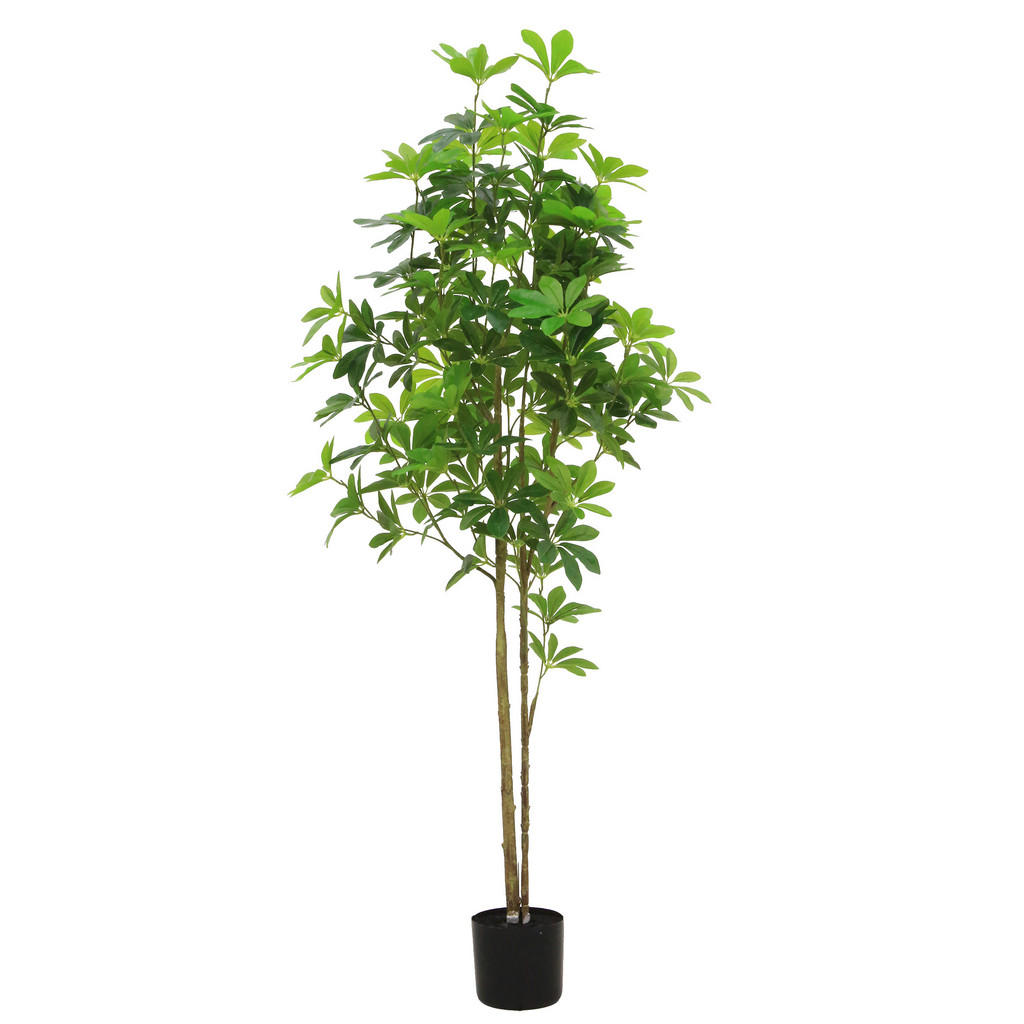 Ambia Home UMĚLÁ ROSTLINA bonsaj 150 cm