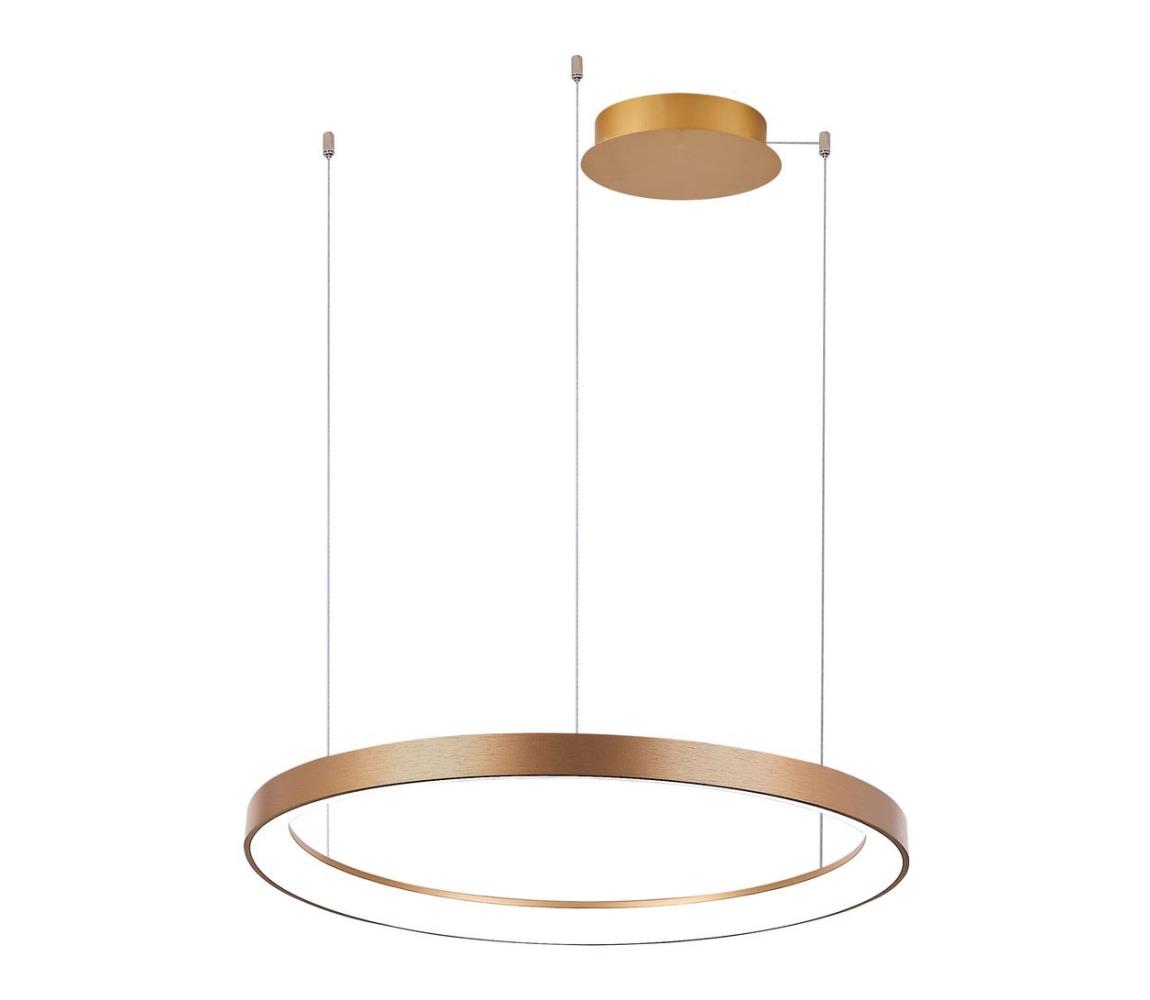 Azzardo -LED Stmívatelný lustr na lanku AGNES LED/38W/230V pr. 48 cm zlatá 