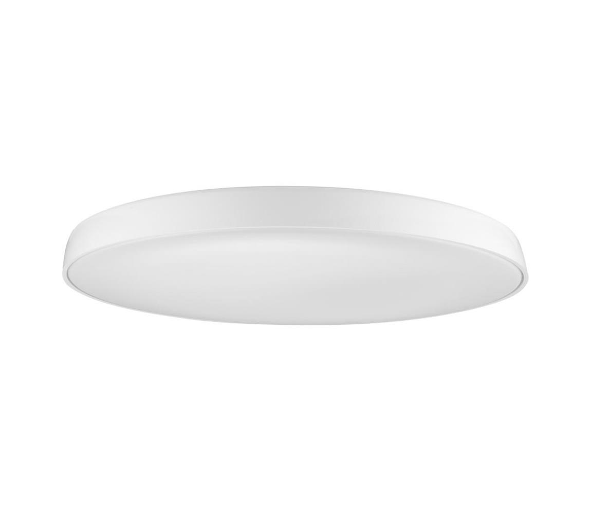 Azzardo  - LED Stropní svítidlo CORTONA 1xLED/50W/230V 4000K 