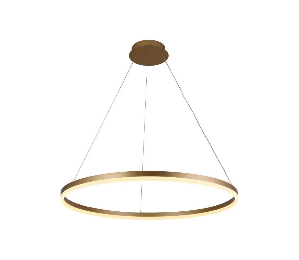 Brilagi - LED Stmívatelný lustr na lanku CIRCLE LED/55W/230V 3000-6500K zlatá+DO BG-J4309/G