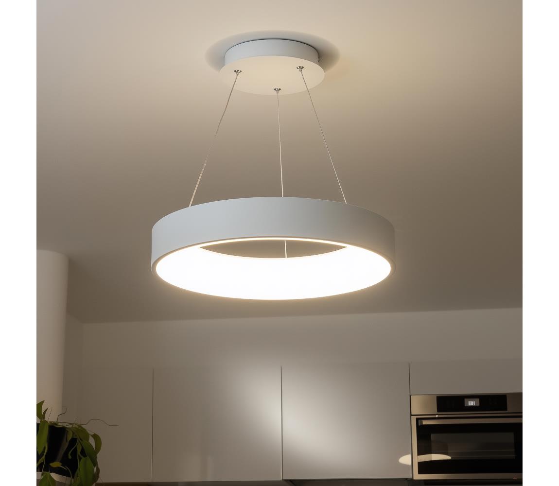 Brilagi - LED Stmívatelný lustr na lanku FALCON LED/80W/230V 3000-6500K + DO BRKL02R-80W/LED-BI