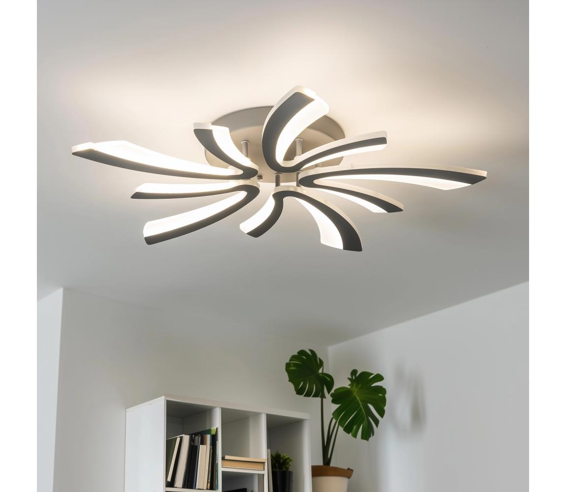 Brilagi-LED Stmívatelný přisazený lustr TWIST LED/55W/230V 3000-6500K antraci+DO BG-J3313/S