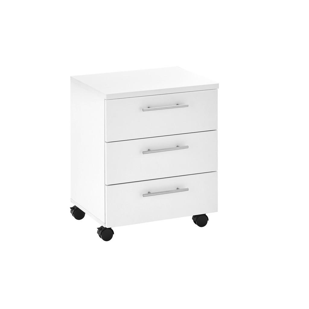 Carryhome POJÍZDNÝ KONTEJNER, 40/56/39 cm 1