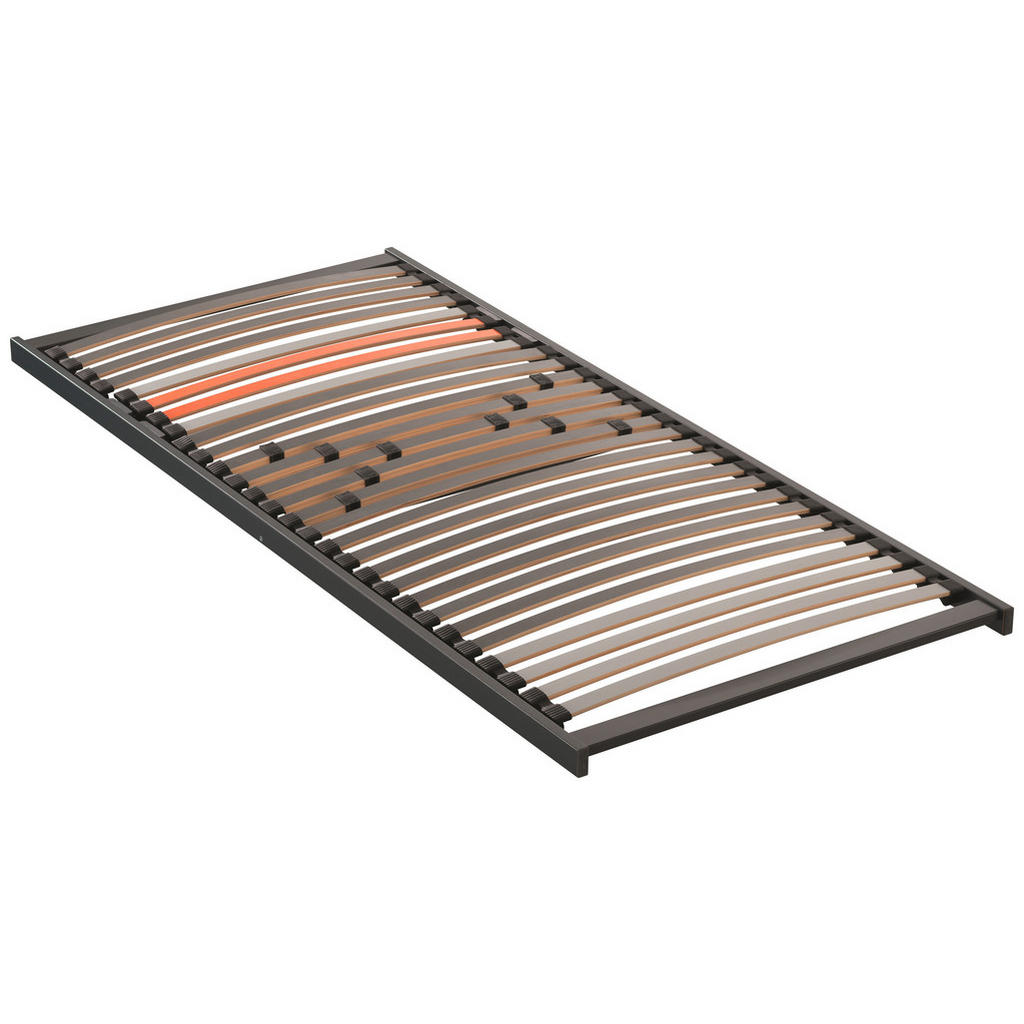 Dieter Knoll ROŠT, (pro rám) 100/200 cm 1