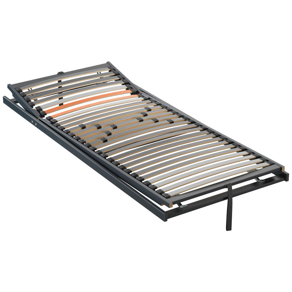 Dieter Knoll ROŠT, (pro rám) 120/200 cm 1