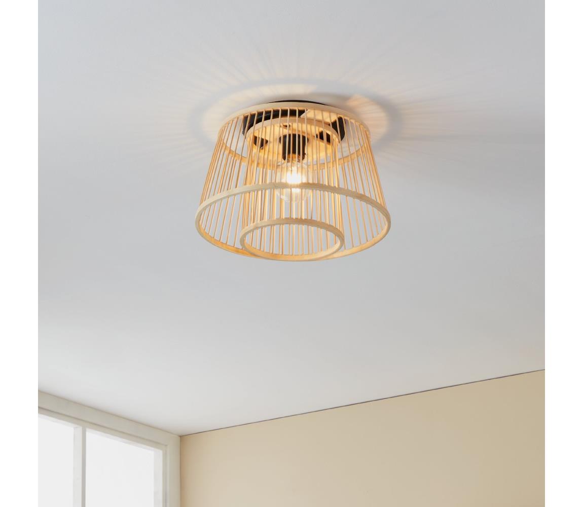 Eglo 43851 - Stropní svítidlo HYKEHAM 1xE27/40W/230V 43851
