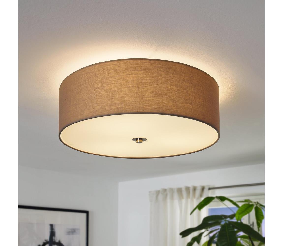 Eglo 94919 - Stropní svítidlo PASTERI 3xE27/25W/230V 94919