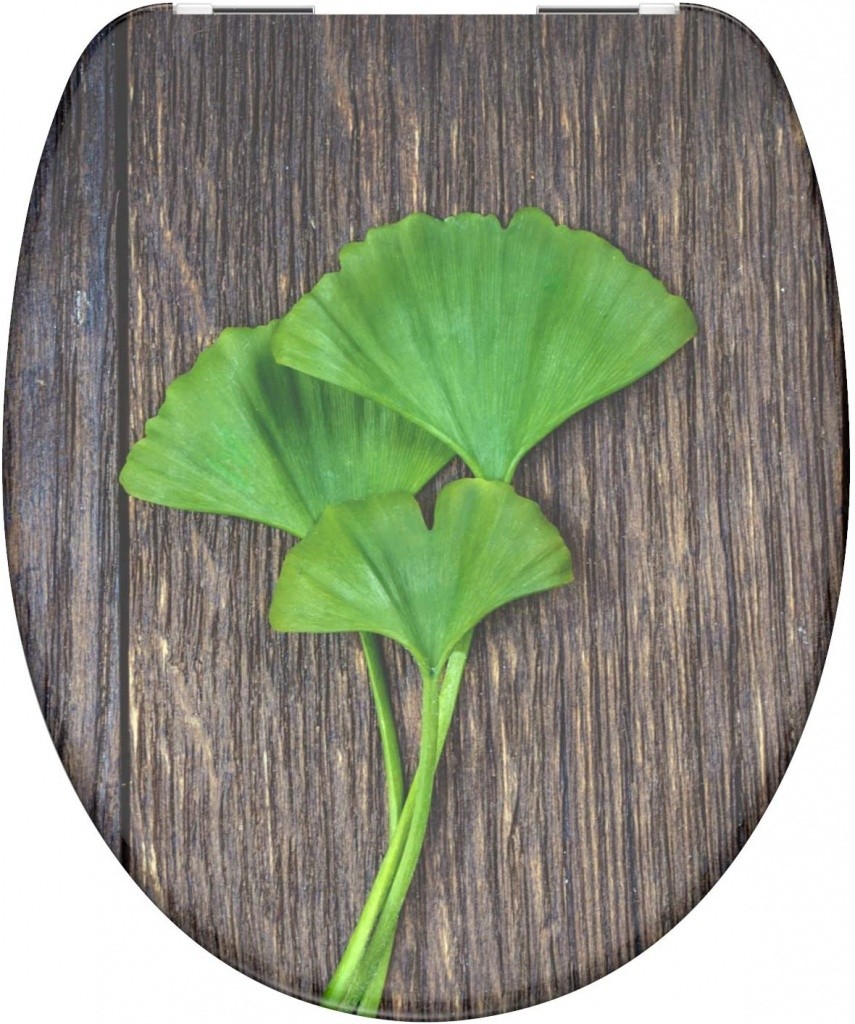 Eisl Duroplastové sedátko se zpomalovacím mechanismem SOFT-CLOSE Ginko & Wood 82154