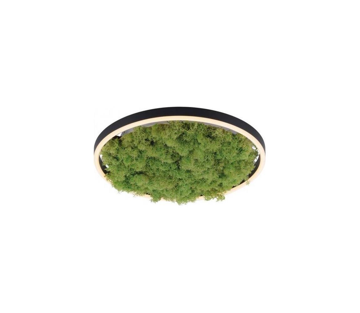 JUST LIGHT. 15391-66 - LED Stmívatelné stropní svítidlo GREEN RITU LED/20W/230V 15391-66