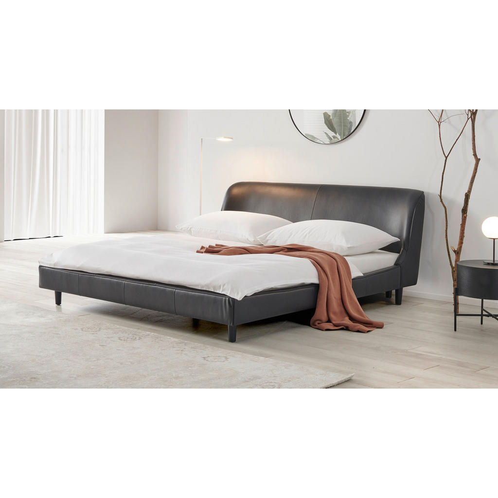 Livetastic ČALOUNĚNÁ POSTEL, 180/200 cm, černá