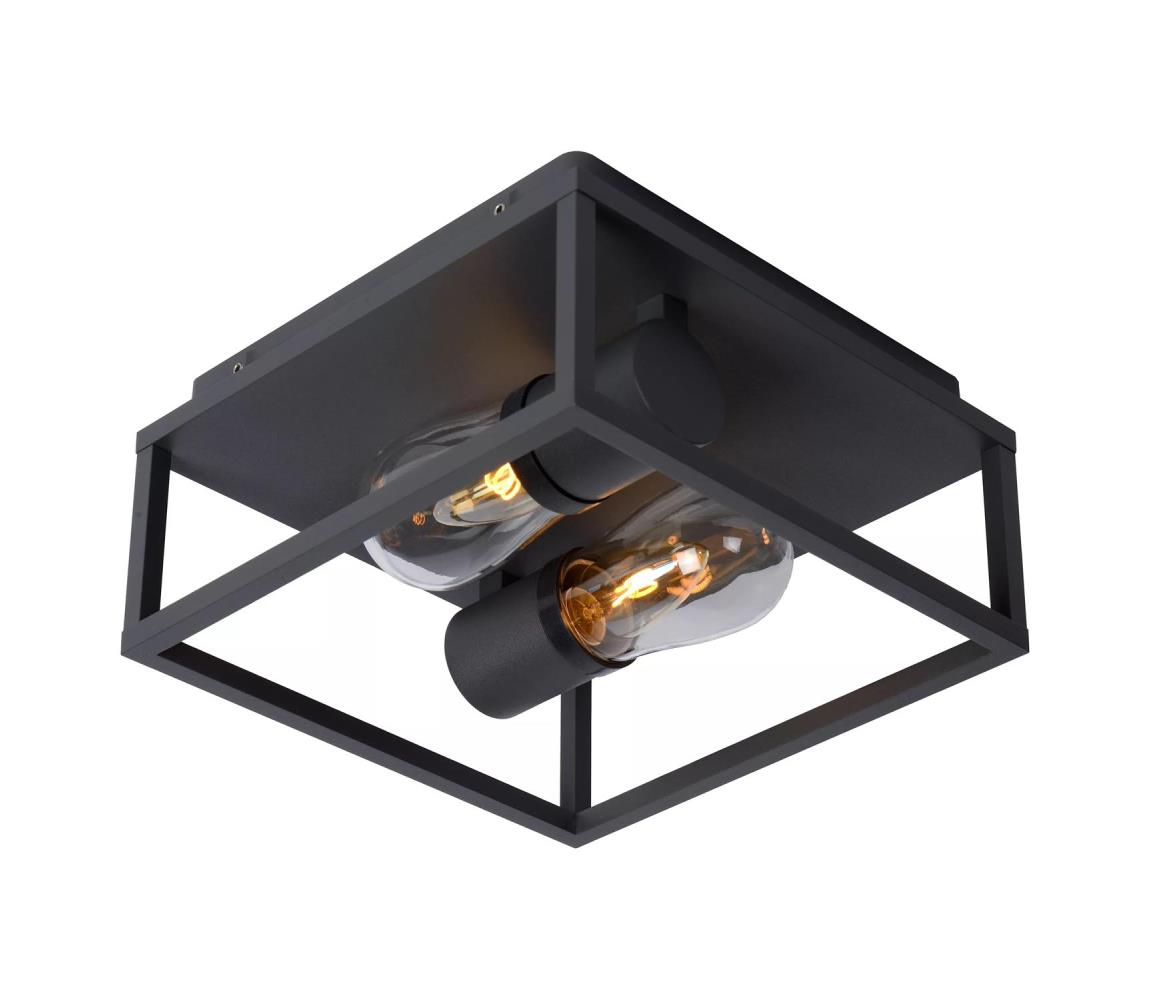 Lucide 27100/02/30 - Koupelnové stropní svítidlo CARLYN 2xE14/6W/230V IP54 27100/02/30