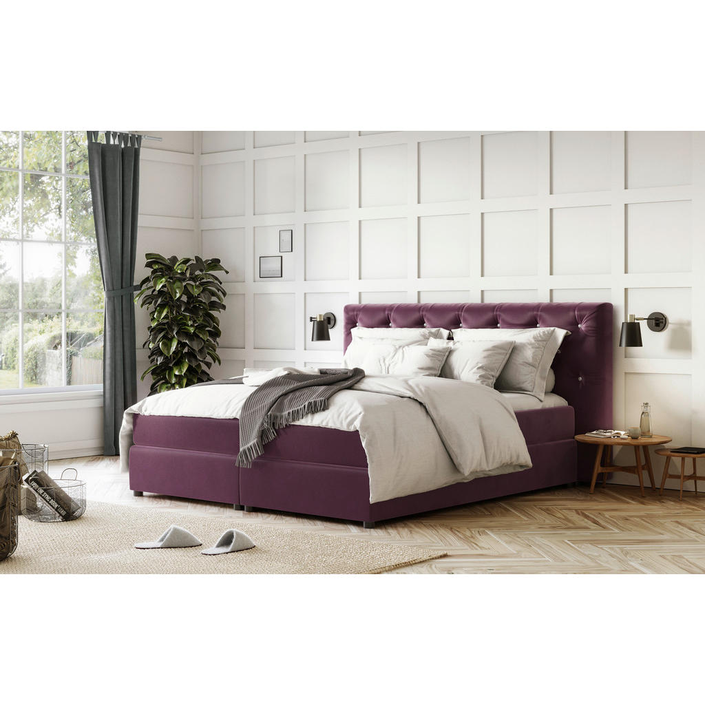 MID.YOU POSTEL BOXSPRING, 160/200 cm, purpurová 1