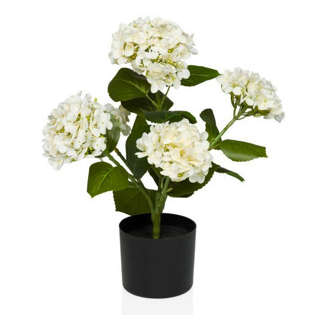 MID.YOU UMĚLÁ ROSTLINA hortenzie