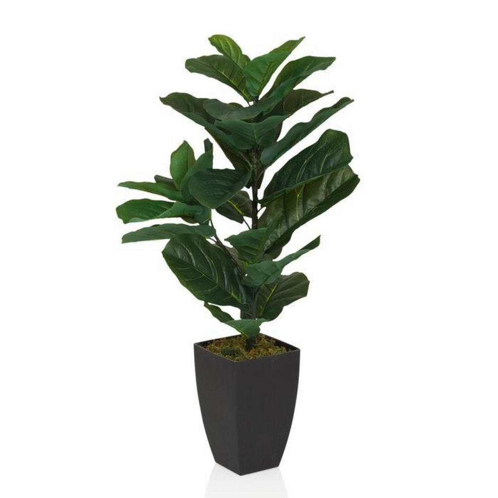 MID.YOU UMĚLÁ ROSTLINA