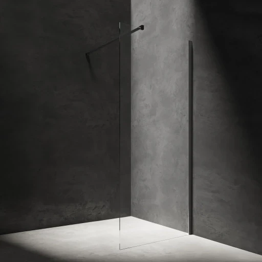 OMNIRES MARINA walk-in, 120 cm černá mat / transparent /BLMTR/ DNR12XBLTR