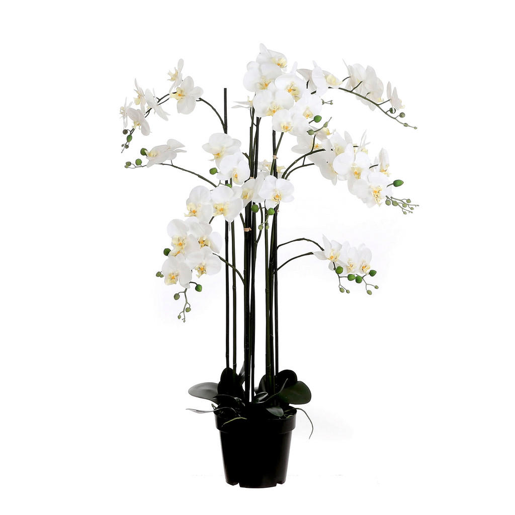 ORCHIDEJ 117 cm