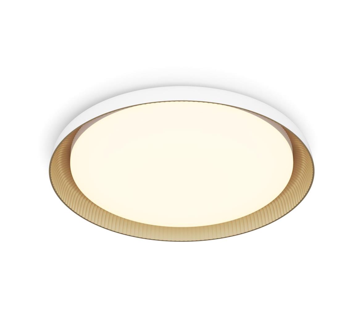 Philips - LED Stmívatelné stropní svítidlo PEBBLO LED/10W/230V 2700K bílá 8720169301054