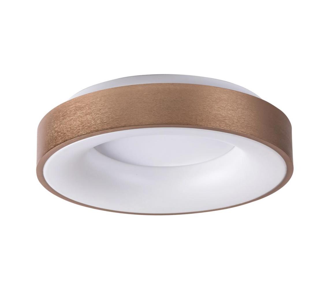 Rabalux 5052 - LED Stropní svítidlo CARMELA LED/30W/230V 5052