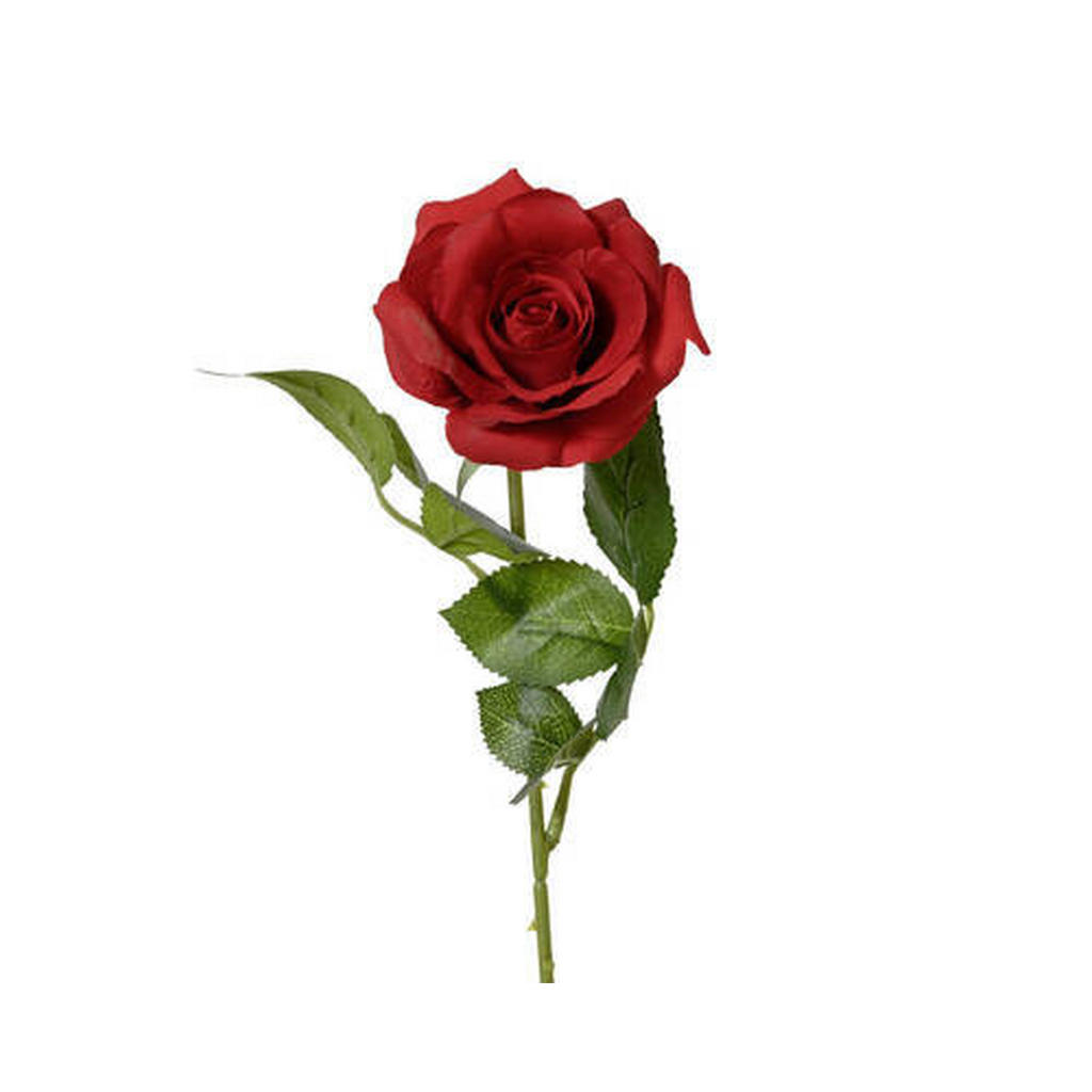 RŮŽE 55 cm 1