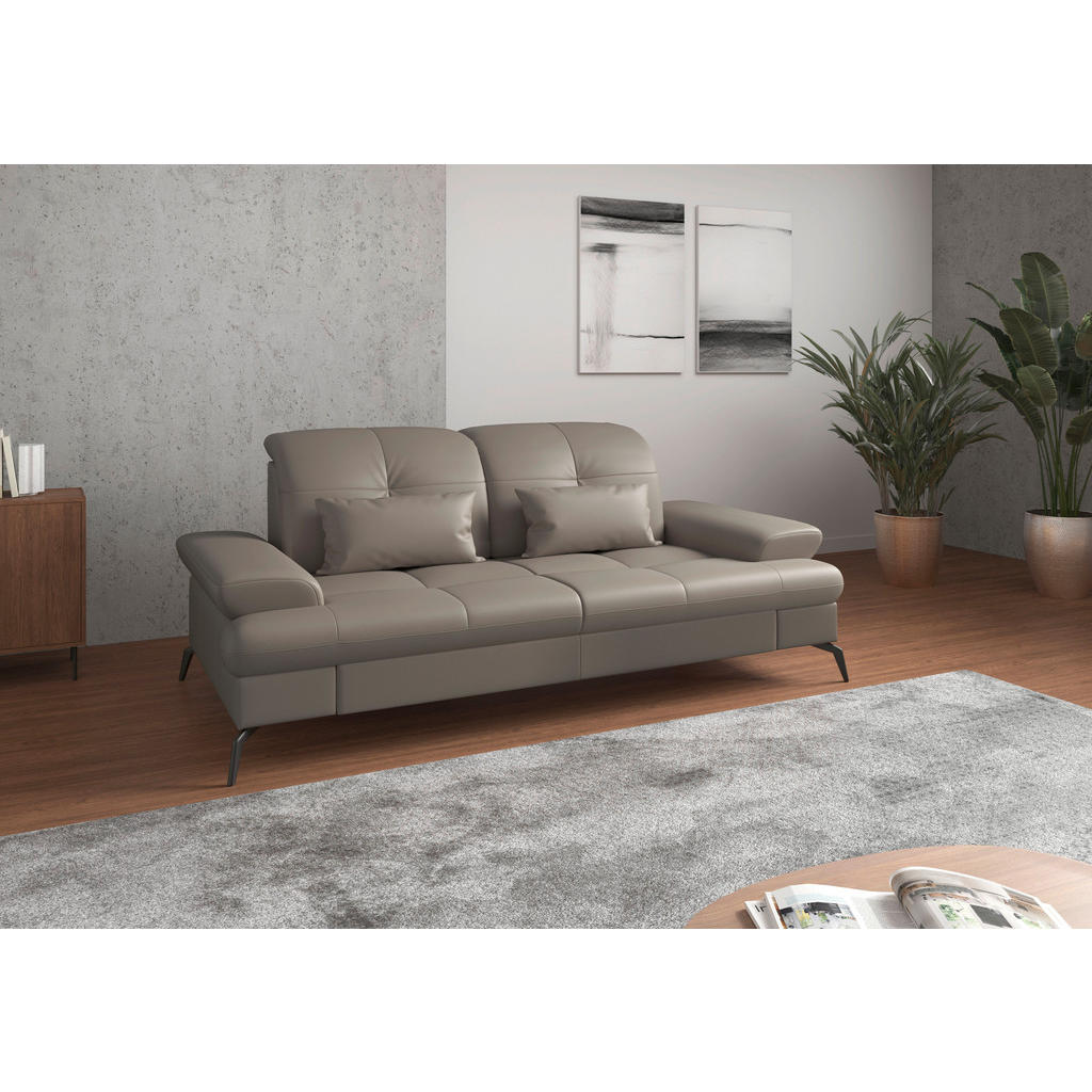 Sit & More 2,5SEDÁK, šedá, pravá kůže 1