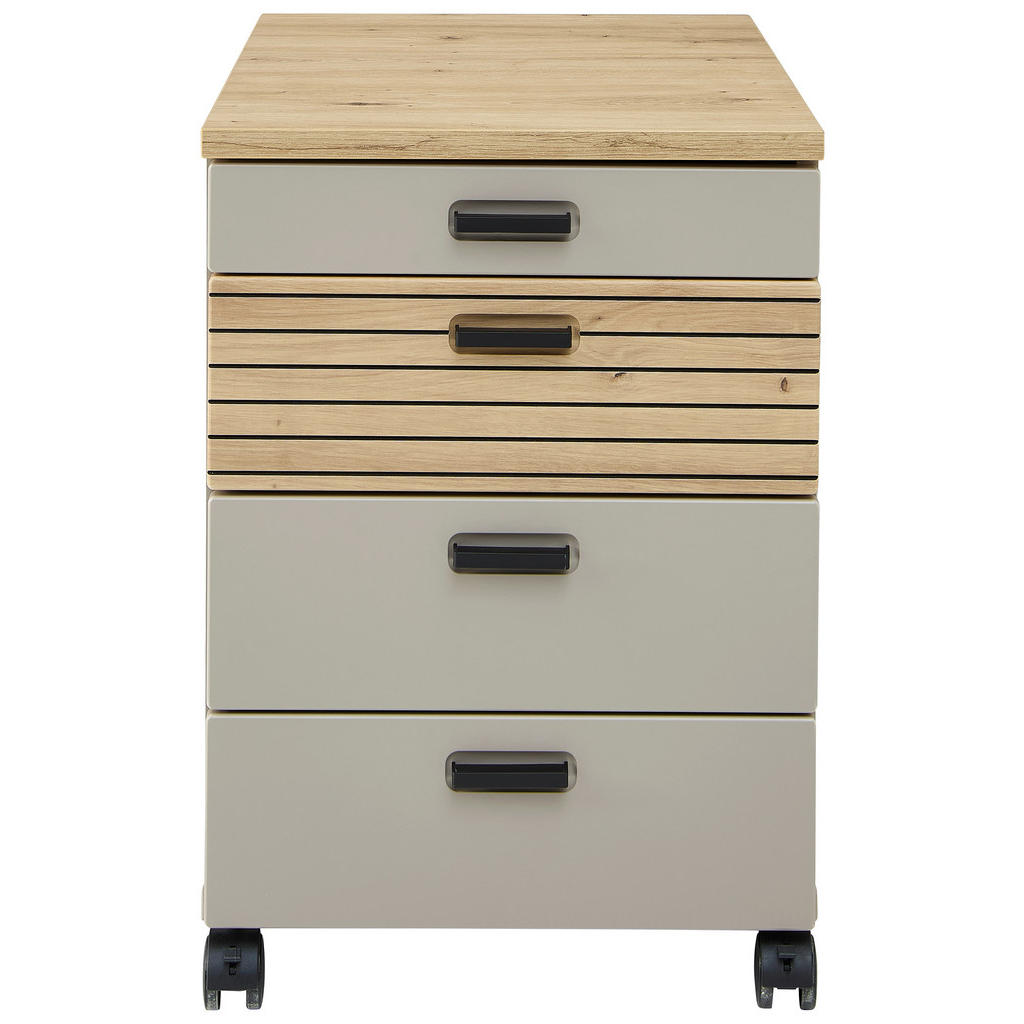 Stylife POJÍZDNÝ KONTEJNER, 45/66/55 cm 1