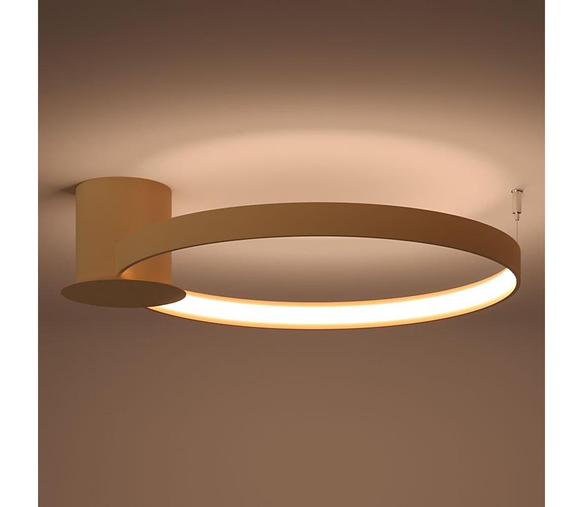 Thoro TH.222 - LED Stropní svítidlo RIO LED/21W/230V CRI98 3000K pr. 55 cm zlatá TH.222