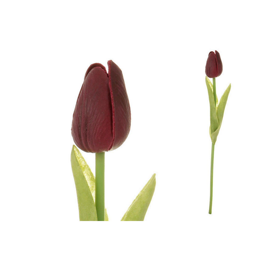 TULIPÁN 34 cm 1