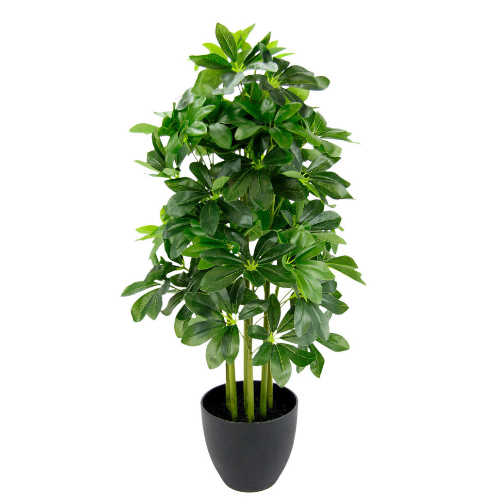 UMĚLÁ ROSTLINA 80 cm