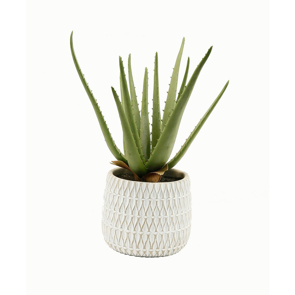 UMĚLÁ ROSTLINA aloe vera 35 cm