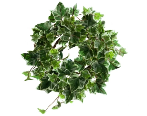 Umělá rostlina Věnec břečťanu, 25 cm