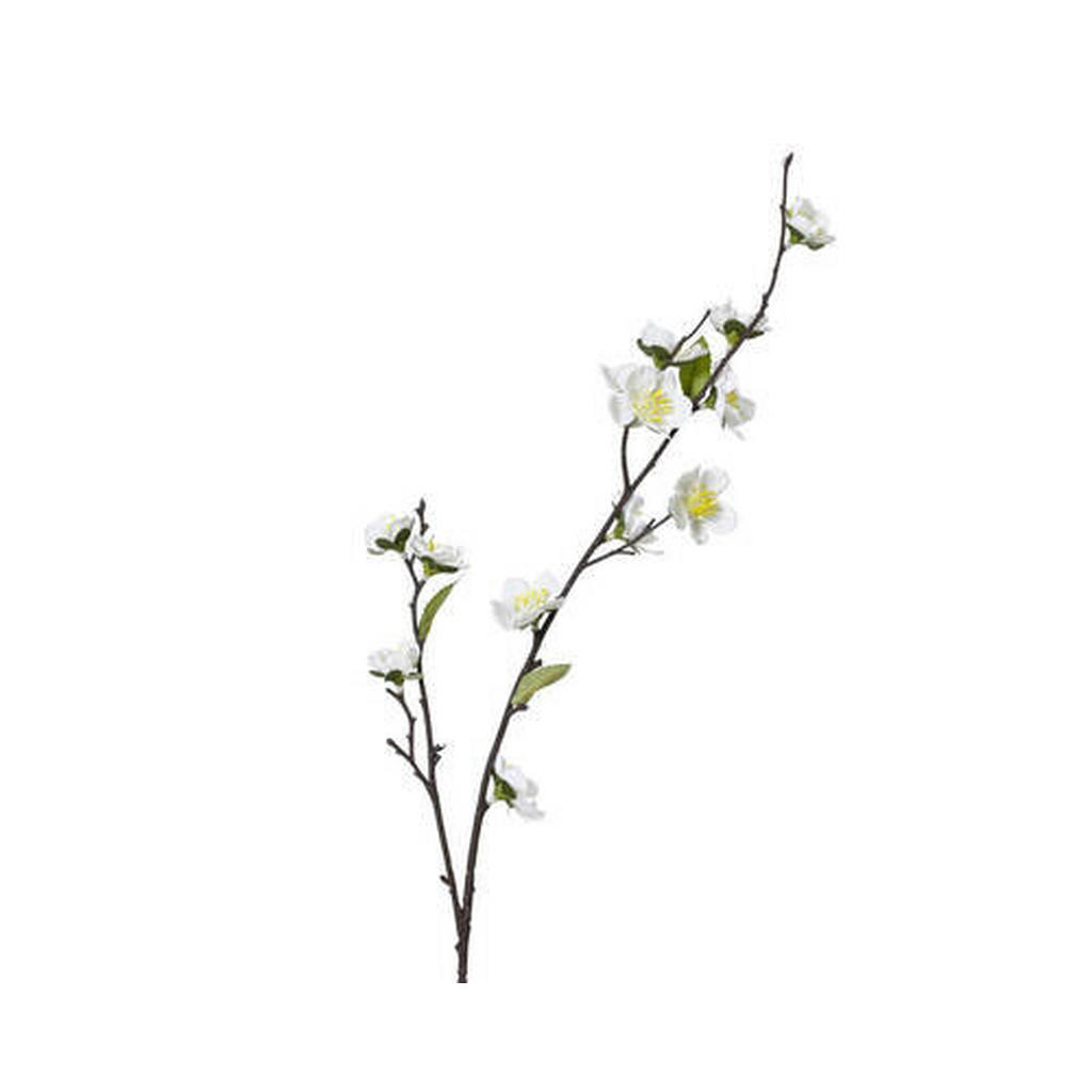 VYKVETLÁ VĚTVIČKA TŘEŠNĚ 70 cm 1