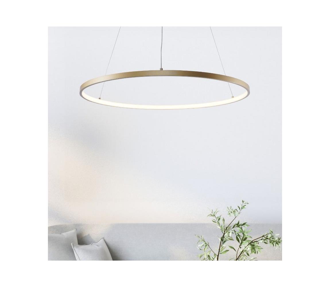 Zuma Line 2023201-GD80 - LED Lustr na lanku BRENO LED/36W/230V 3000/4000/6000K 2023201-GD80
