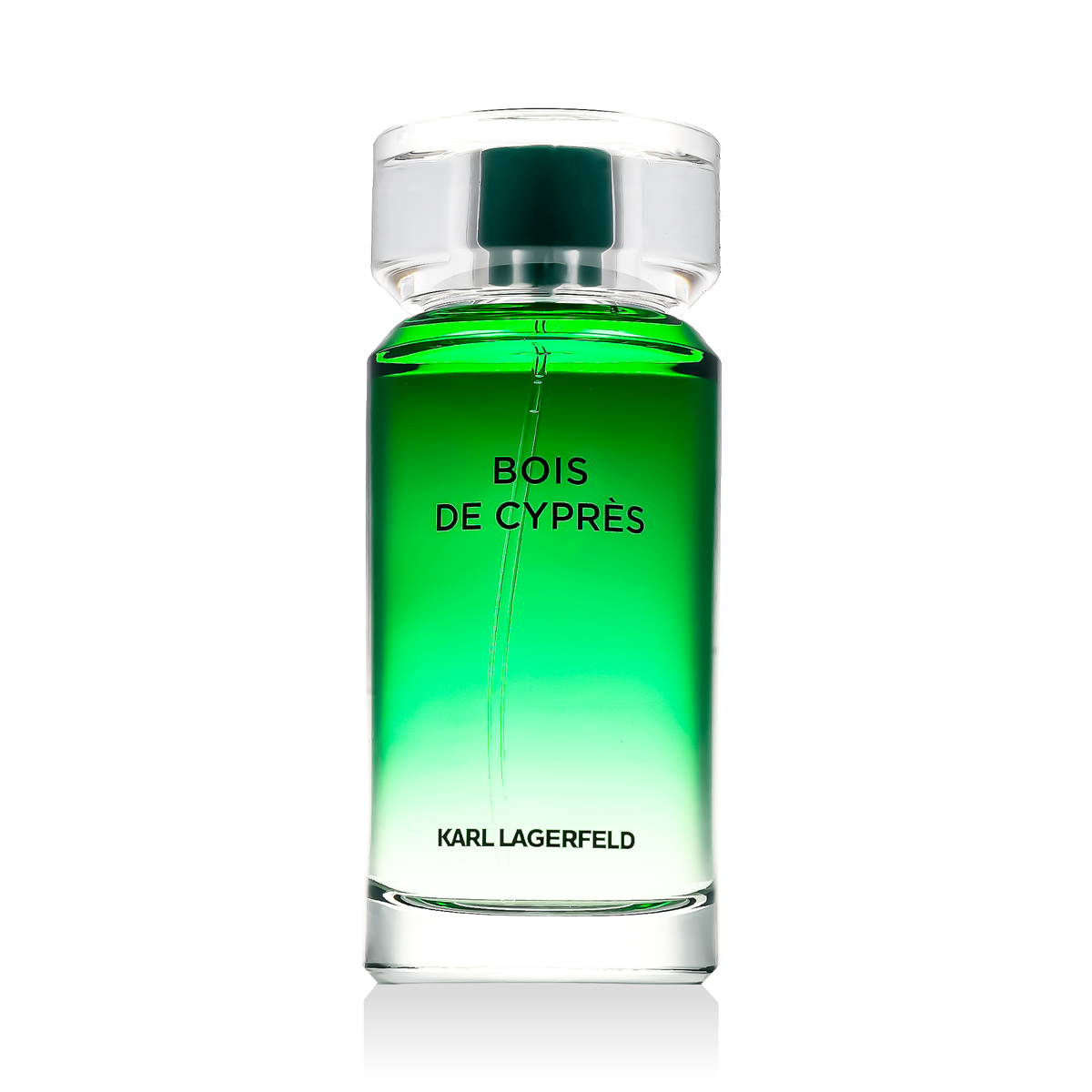 Karl Lagerfeld Bois de Cyprès EDT 100 ml M