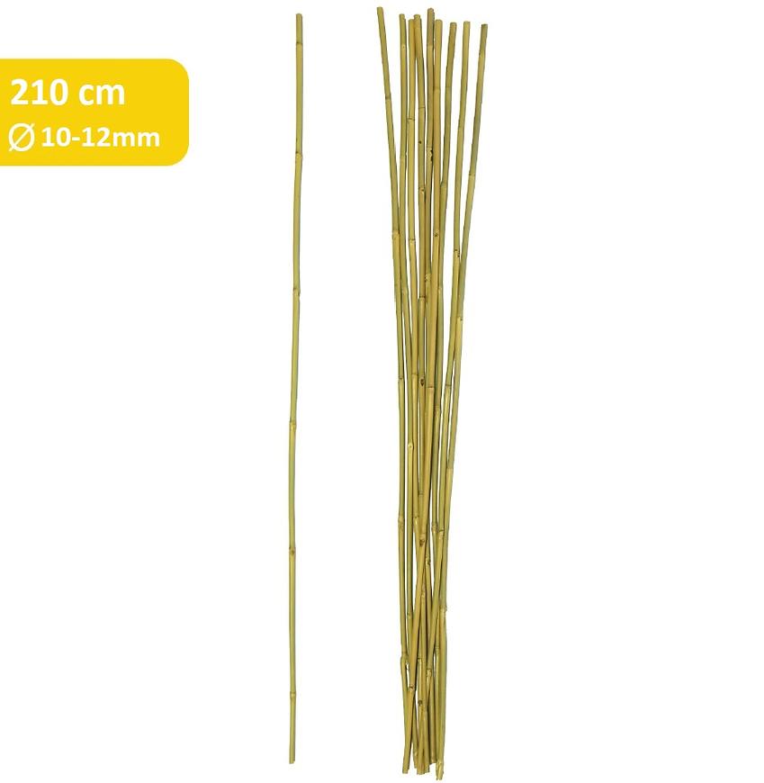 Bambusová tyč 210 cm fi 10/12mm