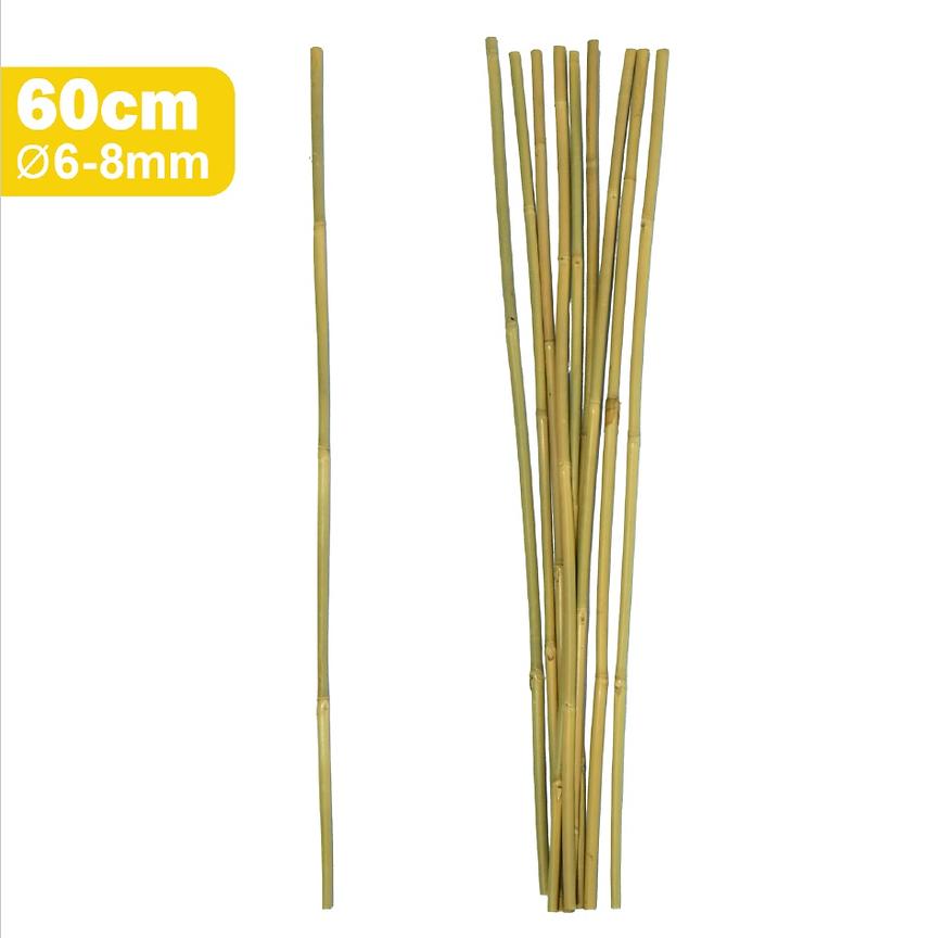 Bambusová tyč 60 cm fi 06/08mm