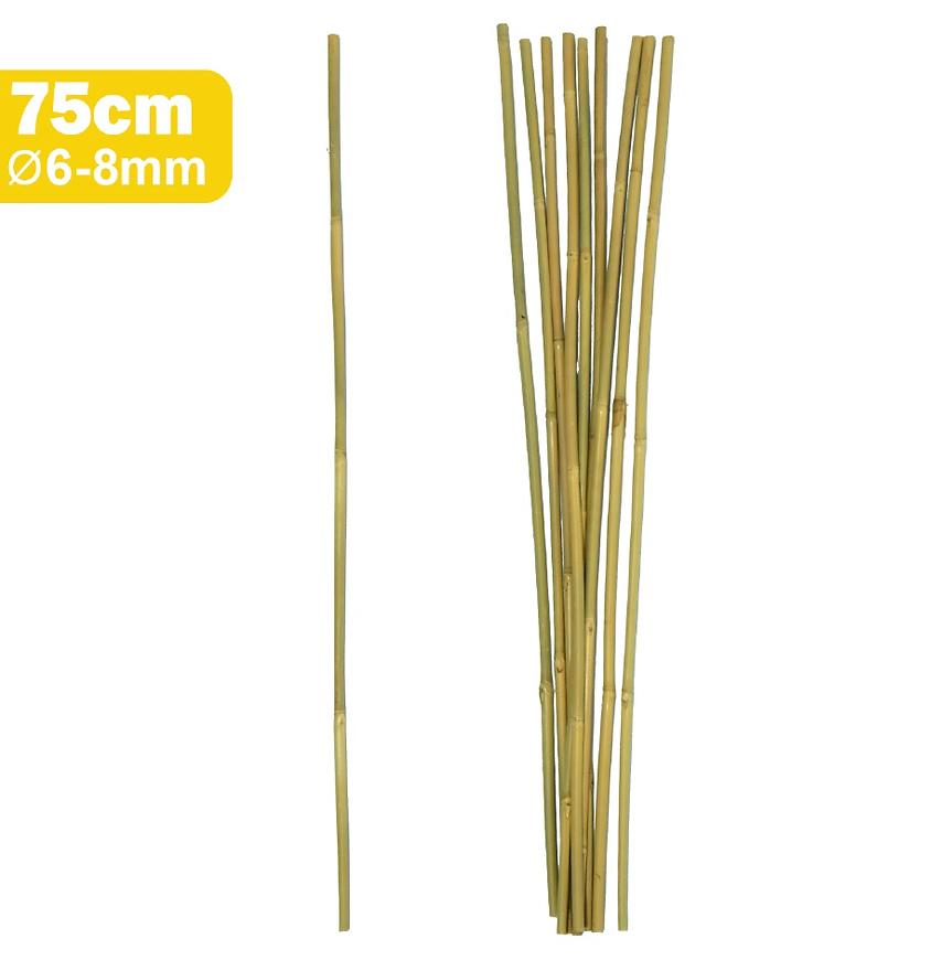 Bambusová tyč 75 cm fi 06/08mm